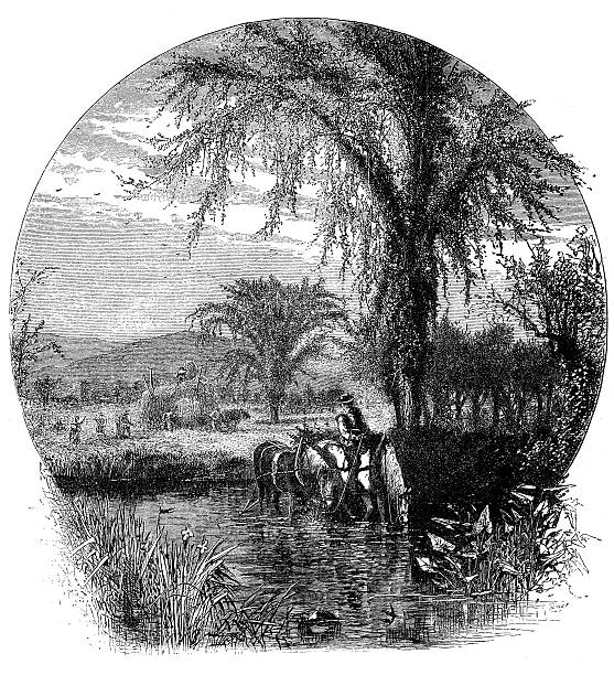 antyczne ilustracja pola i góry białe (nowe hampshire). - illustration and painting landscape new england antique stock illustrations