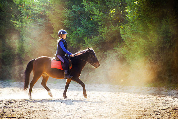 Riding in dust A young girl riding her pony during riding lesson, outside. Natural sun rays shining in dust during sunset. pony photos stock pictures, royalty-free photos & images