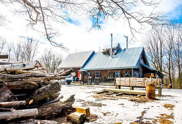 Sugar shack Place of manufacture of maple syrup, presence on the roof of a superstructure intended to let out the steam produced by evaporation. Wood. montérégie photos stock pictures, royalty-free photos & images