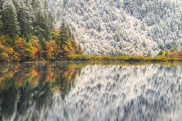 lago espejo en otoño con cubiertas de nieve bosque - jiuzhaigou national park jiuzhaigou national park unesco world heritage site fotografías e imágenes de stock
