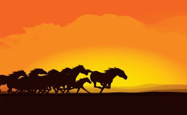 Wild Horses - Stampede Silhouette background illustration of a wild horse stampede. Check out my "Farming" light box for more. stampeding stock illustrations