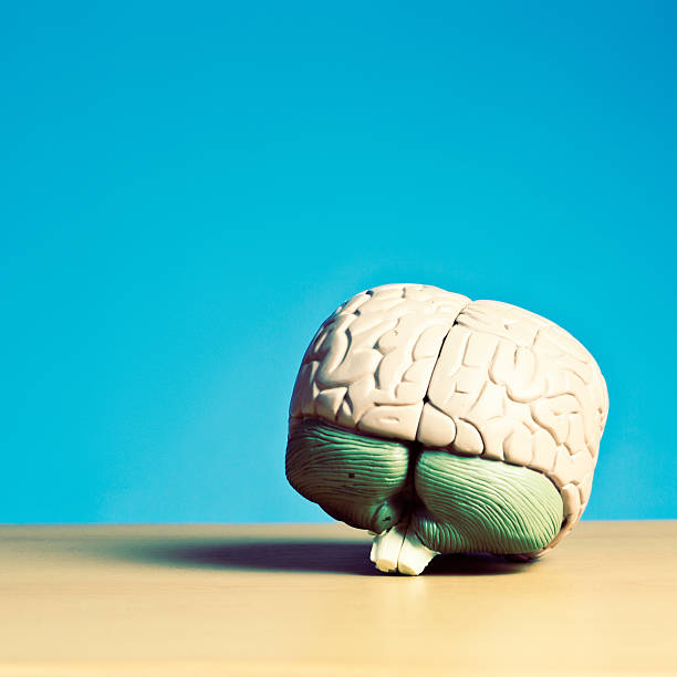 istock Penny for your thoughts: model brain on blue with copyspace 516910173