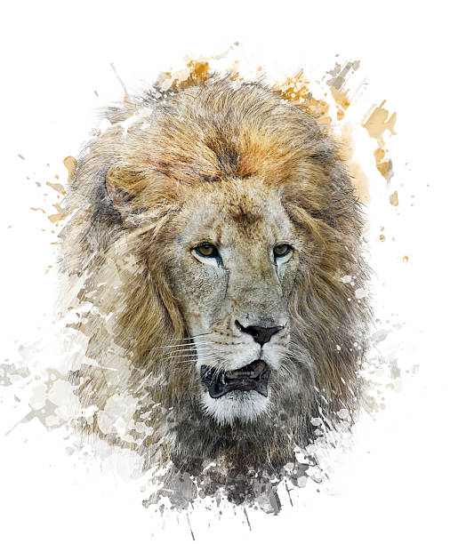 istock Watercolor Image Of Lion Head 516911139