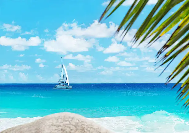 Tropical ocean beach with yacht and palm leaves. Anse Georgette, Praslin island, Seychelles - vacation background