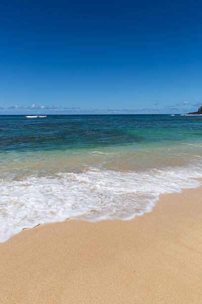 istock Tropical Beach and Nature Landscape, Hawaii 516911797