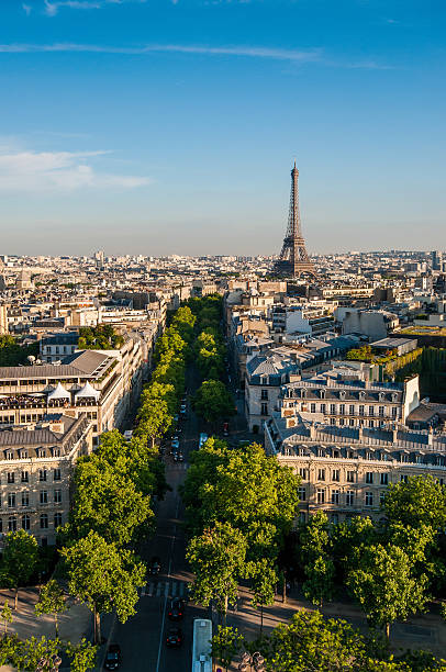 istock Vertical wide angle view of paris and the eiffel tower 516912167