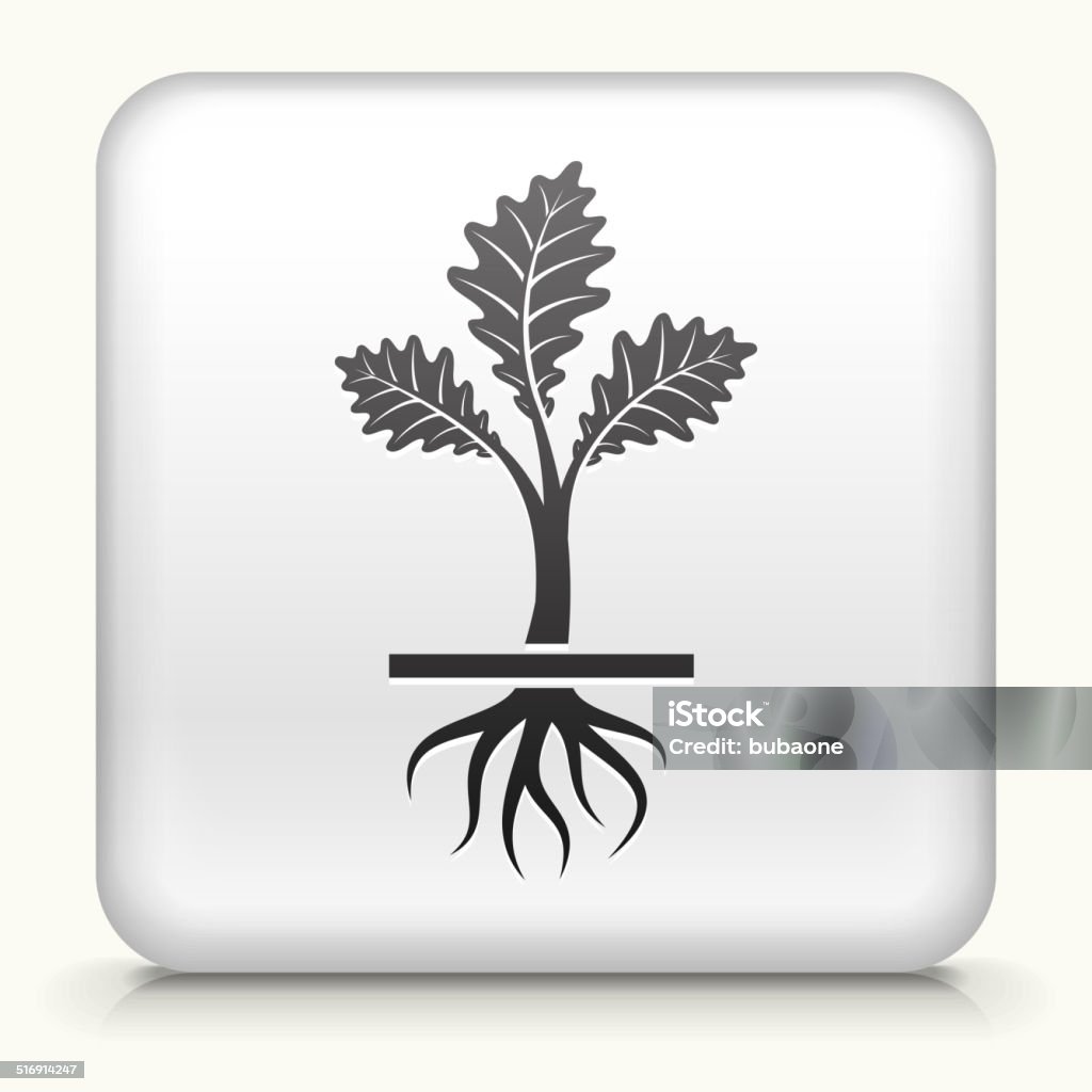 Royalty free vector Square Button with Growing Plant White Square Button with Growing Plant Cultivated stock vector