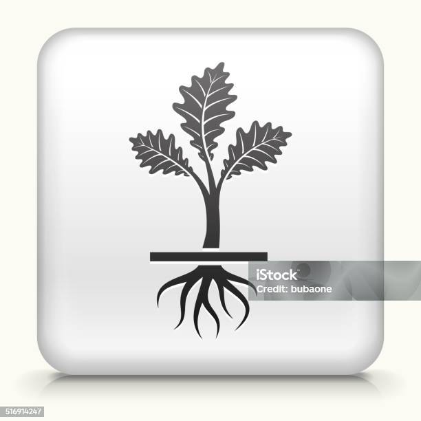 Royalty Free Vector Square Button With Growing Plant Stock Illustration - Download Image Now
