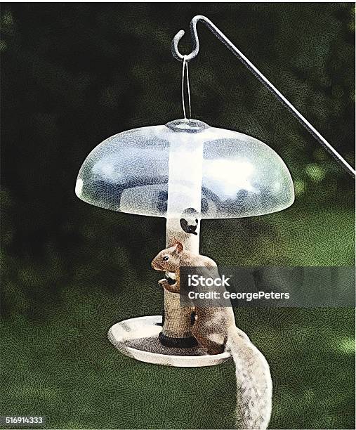 Squirrel And Bird Feeder Stock Illustration - Download Image Now - Irritation, Alertness, Animal