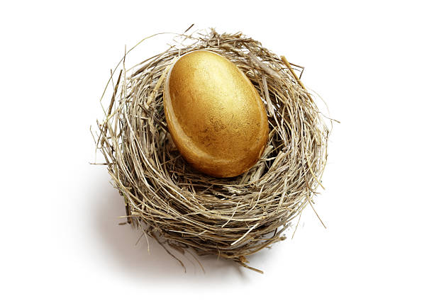 Retirement savings golden nest egg Gold nest egg concept for retirement savings and financial planning prosperity stock pictures, royalty-free photos & images