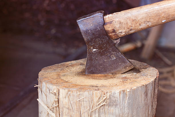 The ax in a log stock photo