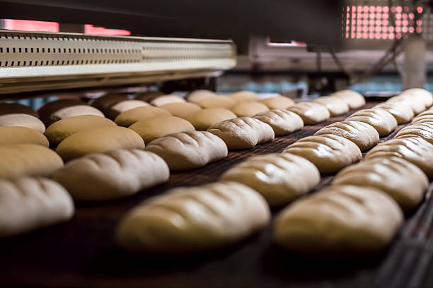 istock Manufacture of bread. 516924098