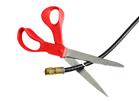 Close up of gardening scissors on white background. Steel garden pruning shears isolated on white background. Garden tool to prune and cut the stems and branches of unwanted plants. Open Garden shears.
