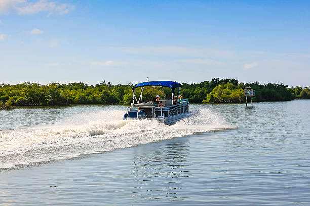 barco em haldeman creek em nápoles, flórida - collier county - fotografias e filmes do acervo