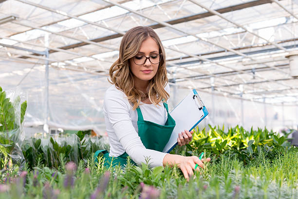istock Making a List of plants 516933554