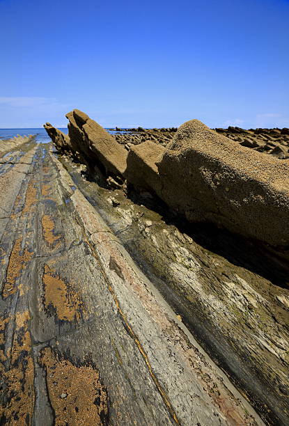 istock Zumaia-Gipuzkoa-Flysch 516944533