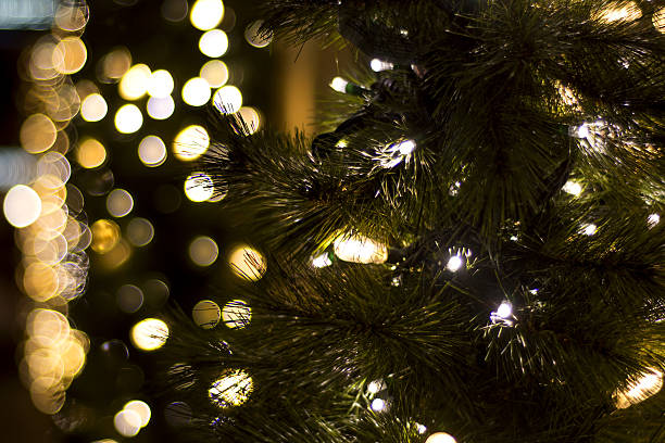 Christmas tree lights out of focus