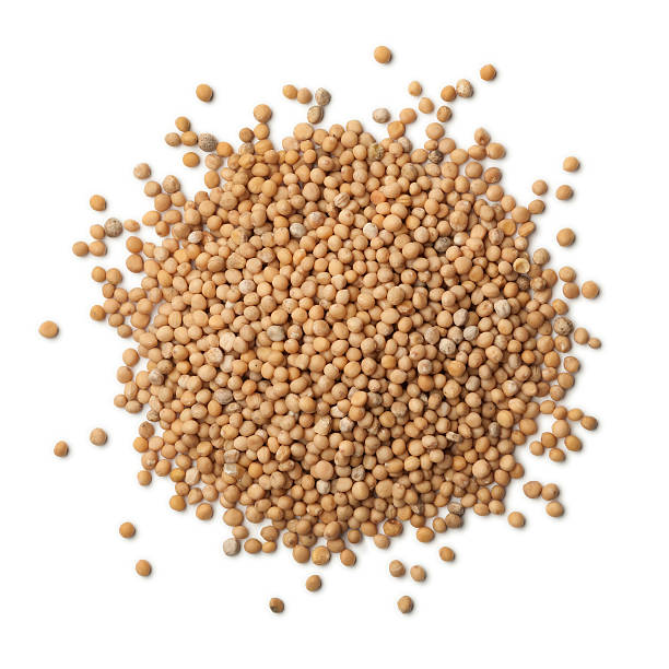istock Heap of dried mustard seeds 516947624