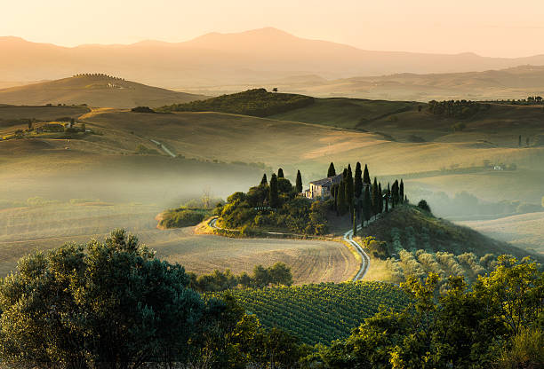 istock Tuscany landscape morning 516947749