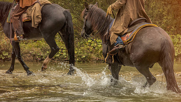 istock Cowboys on a horse riding across a river 516948258