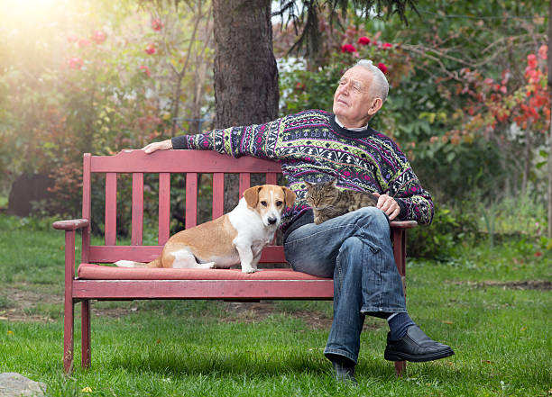 istock Senior man with dogs and cat 516948428