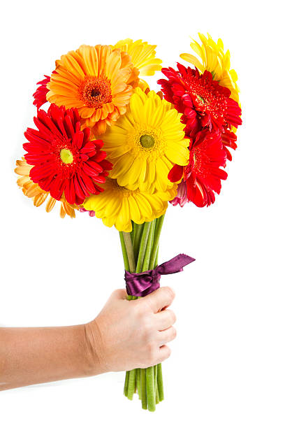 istock colorful gerbera flowers bouquet 516948826