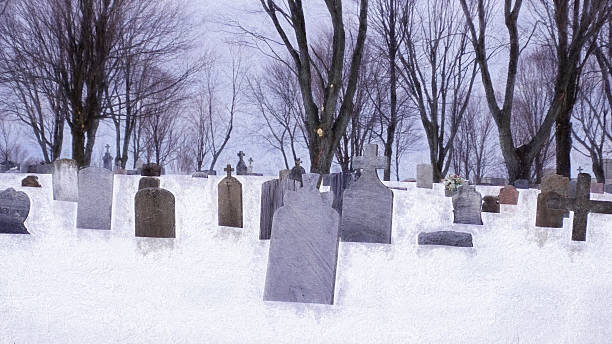 istock Snow covers the landscape and tombstones this cold day 516948946