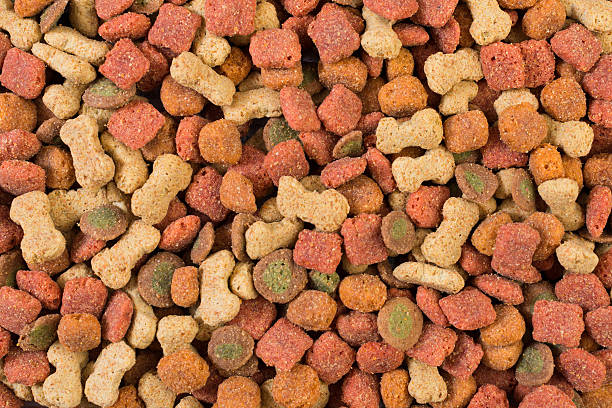 istock Dog food background 516948967