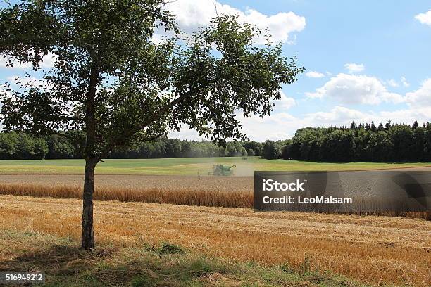 Harvester At Work Stock Photo - Download Image Now - Agricultural Field, Agricultural Machinery, Agriculture