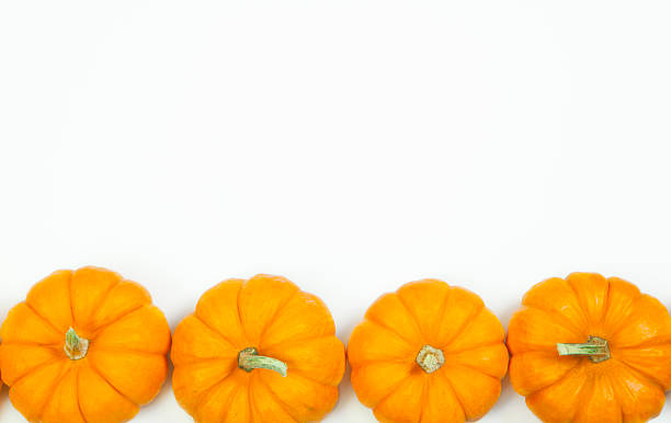 istock Autumn Pumpkin Thanksgiving Background 516949261