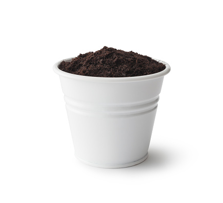Flower Pot, Isolated on white, Clipping Path