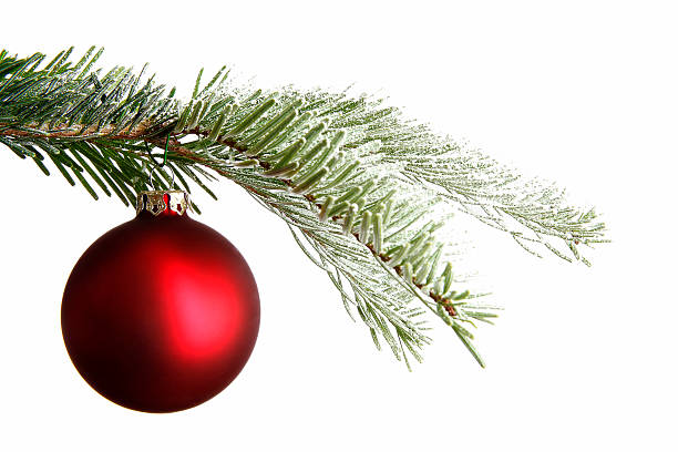 istock Red Christmas ball on a snowy branch 516950179