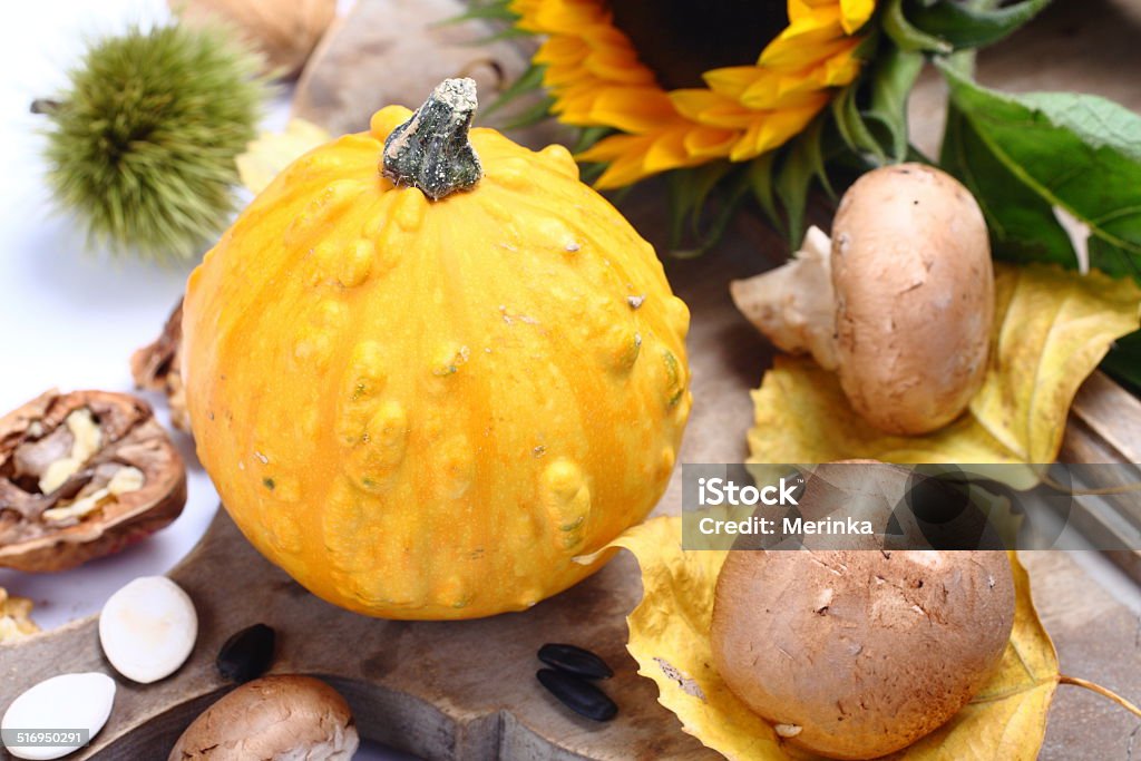 Autumn composition Autumn composition ( pumpkins old wooden board). Thanksgiving day concept Agriculture Stock Photo