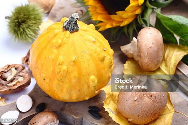 Autumn Composition Stock Photo - Download Image Now - Agriculture, Autumn, Backgrounds