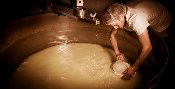 istock Cheesemaker -Traditional cheese making at a creamery, 516951542