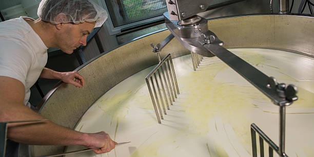 Cheesemaker -Traditional cheese making at a creamery, Cheesemaker -Traditional cheese making at a creamery, butter churn stock pictures, royalty-free photos & images