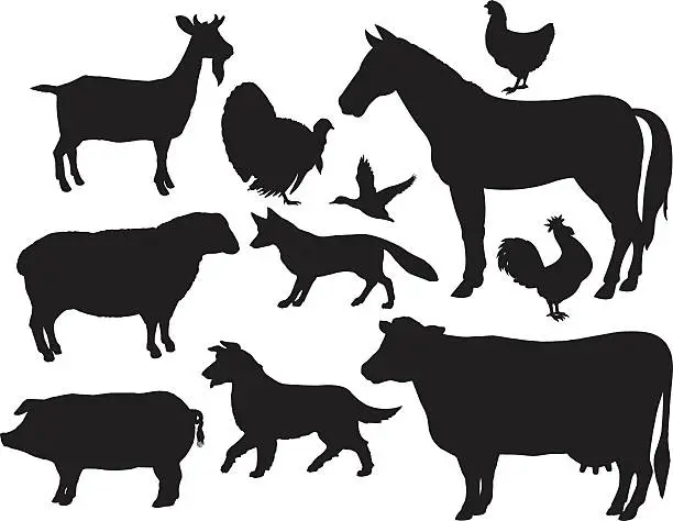 Vector illustration of Farm Animals - Horse, Cow, Pig, Goat, Fox, Chicken, Rooster