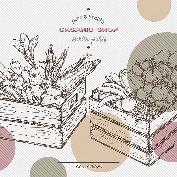 ilustrações de stock, clip art, desenhos animados e ícones de orgânicos comprar modelo com frutas e legumes em caixas de madeira. - beet vegetable box crate
