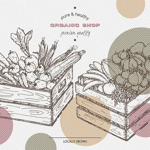Vector illustration of Organic shop template with fruits and vegetables in wooden crates.