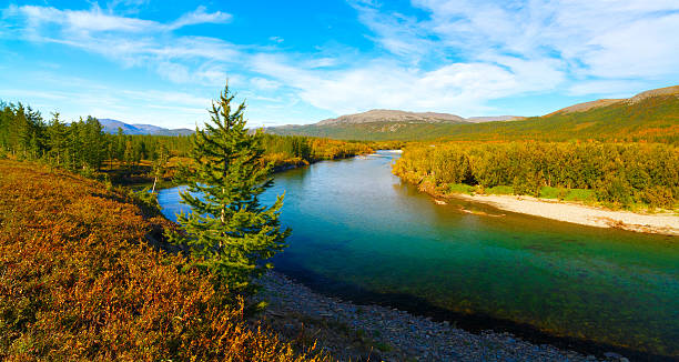 istock waterfall short river North Colorful autumn fall leaves taiga forest 516956638