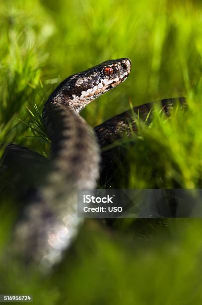 Menacing pose hi-res stock photography and images - Alamy