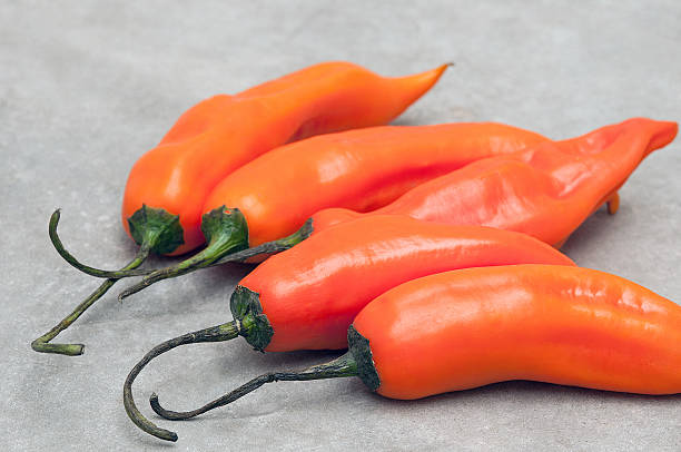 istock Aji amarillo hot pepper on stone background 516956878