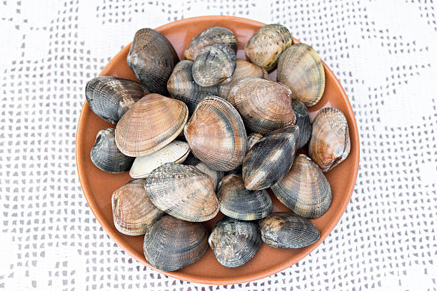 istock Detail of clams 516956892