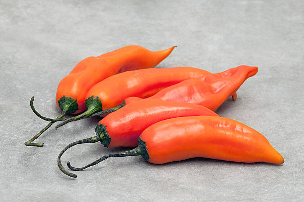 istock Aji amarillo hot peppers on stone background 516957136