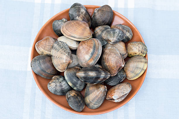 istock Detail of clams 516957306