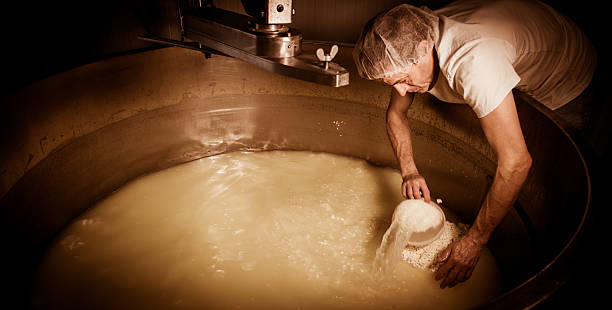 Cheesemaker -Traditional cheese making at a creamery, Cheesemaker -Traditional cheese making at a creamery, mixing vat stock pictures, royalty-free photos & images