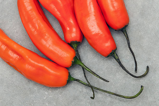 istock Aji amarillo hot peppers on stone background 516957350