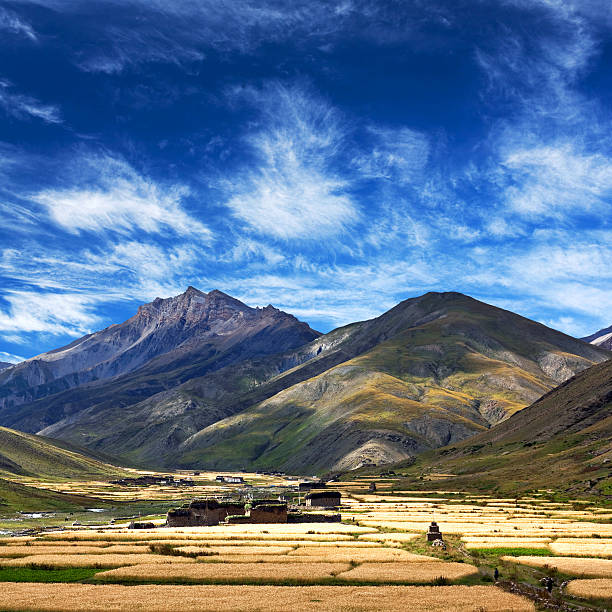 dho tarap village em dolpo, nepal - nepal landscape hiking rice imagens e fotografias de stock