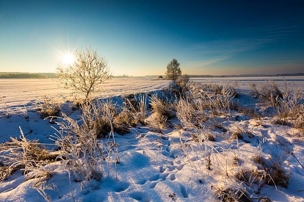 istock Beautiful cold morning on snowy winter countryside. 516958870