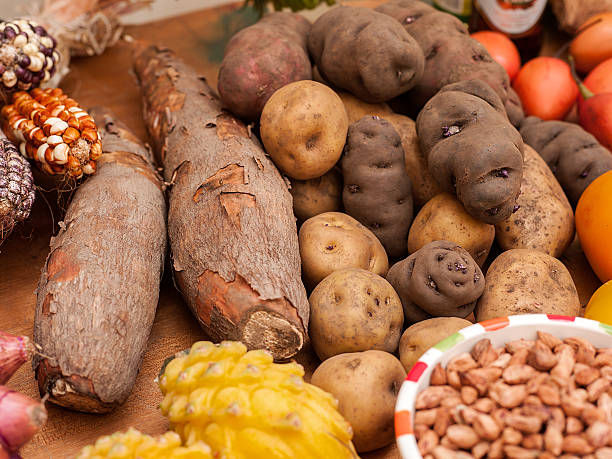 istock Assortment of Peruvian potatoes, corn, and yucca 516958958